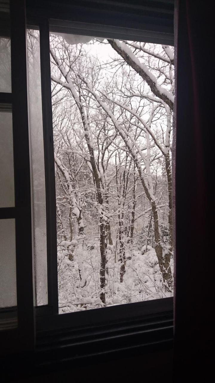 Hakuba Matata Lodge 外观 照片